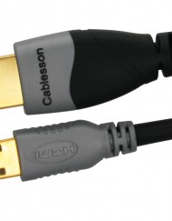 Ivuna Advanced High Speed Mini HDMI to HDMI Cable with Ethernet