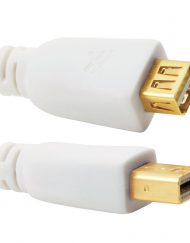 Cablesson Mini DisplayPort Extension Cable
