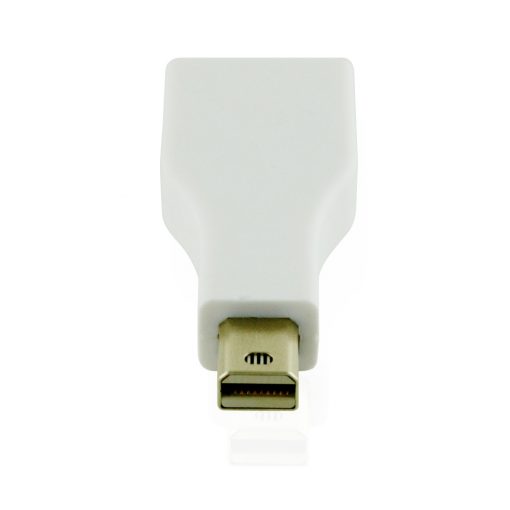 Cablesson - Mini DisplayPort M to DisplayPort F Adapter - White