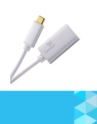 USB Type C Male to RJ45