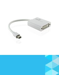 Mini DisplayPort to DVI